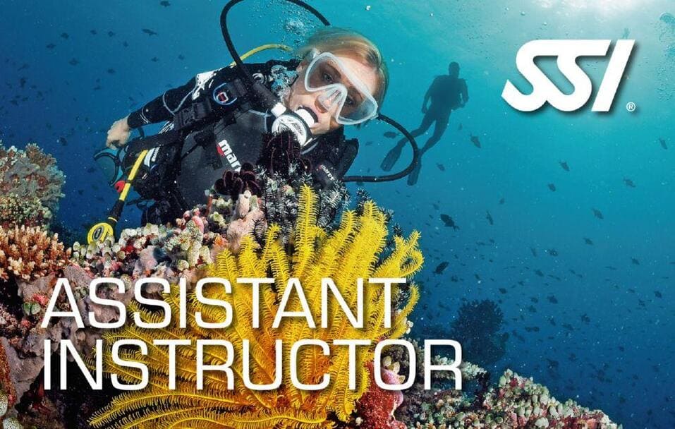 Assistant Instructor - SSI Pros