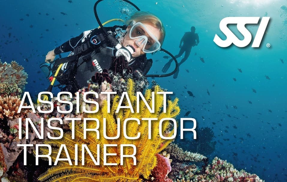 Assistant Instructor Trainer - SSI Pros