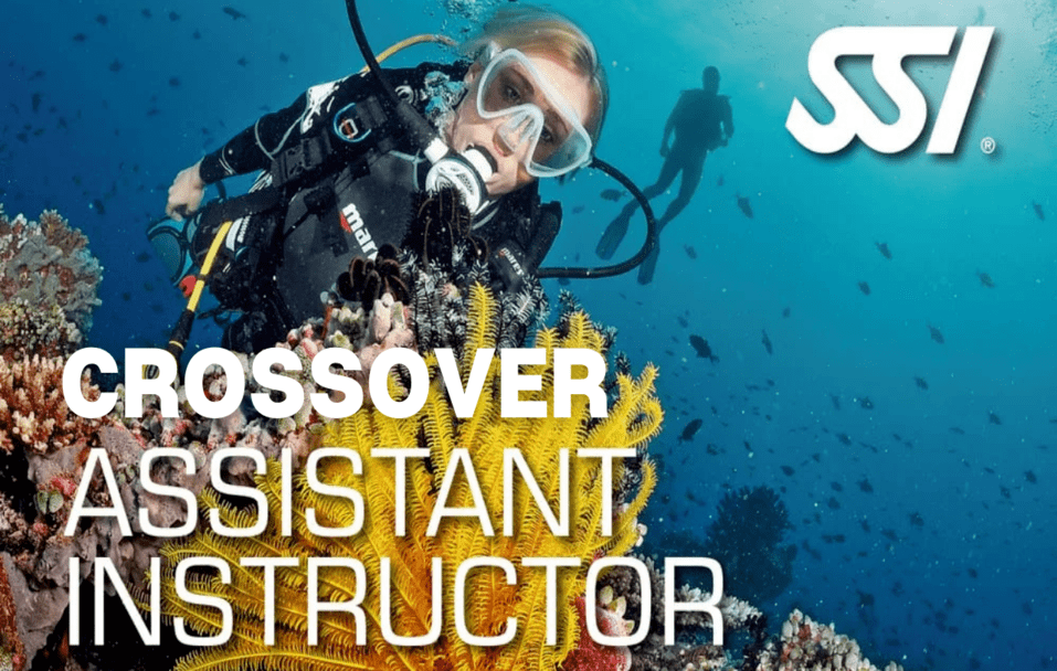 Crossover Assistant Instructor - SSI Pros