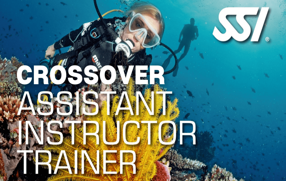 Crossover Assistant Instructor Trainer - SSI Pros