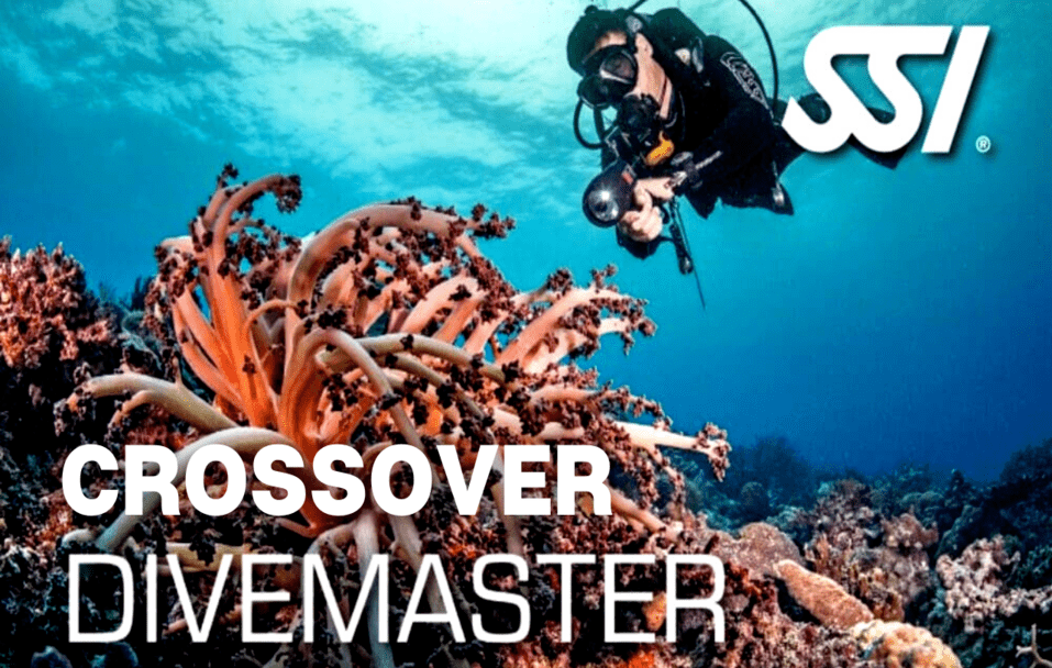Crossover Divemaster - SSI Pros